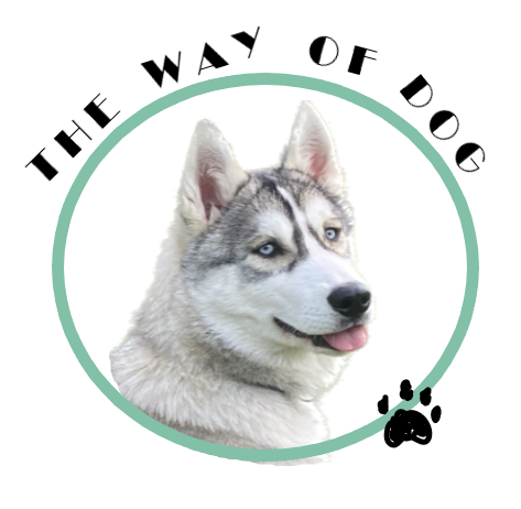 The way of dog